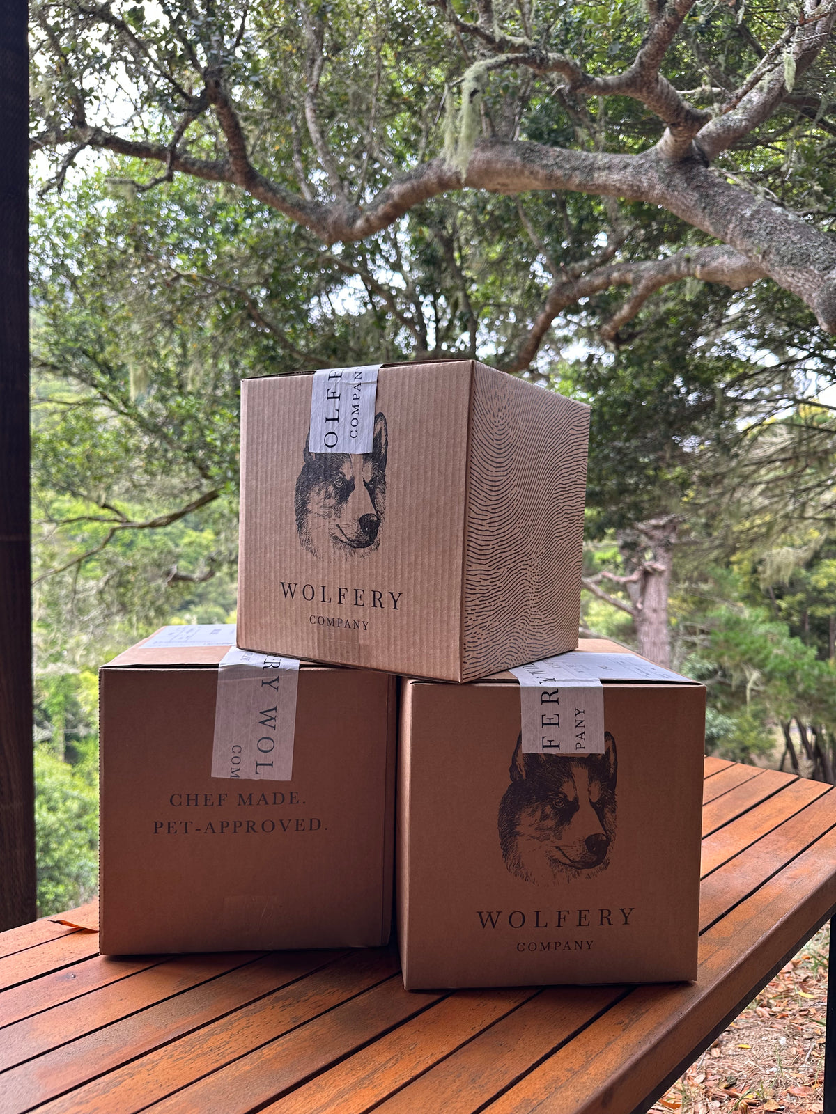Taste Box